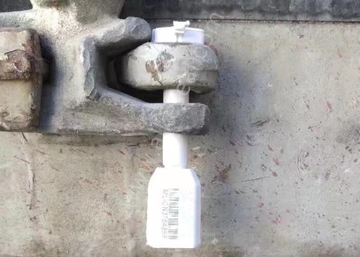 Bolt Seal for Ocean Containers